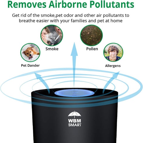 Air Purifier for Home - Black | WBM SMART